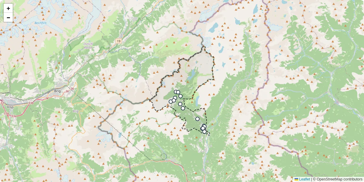 Mappa dettagliata del trasporto pubblico a Baceno con linee autobus, tram e collegamenti