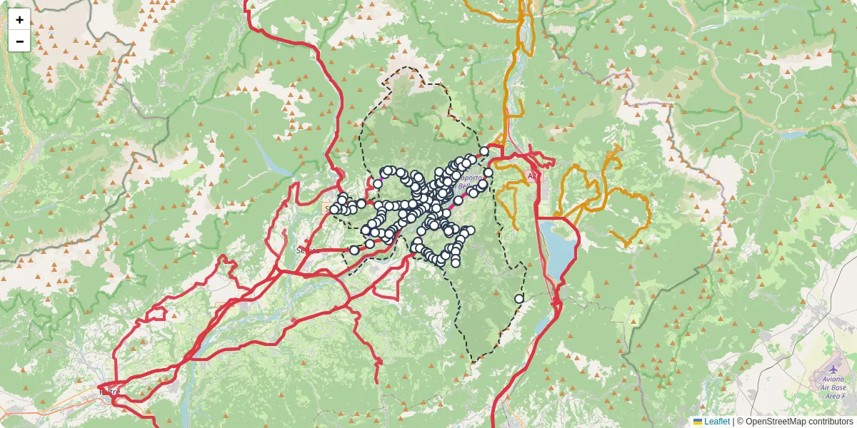 Mappa dettagliata del trasporto pubblico a Belluno con linee autobus, tram e collegamenti