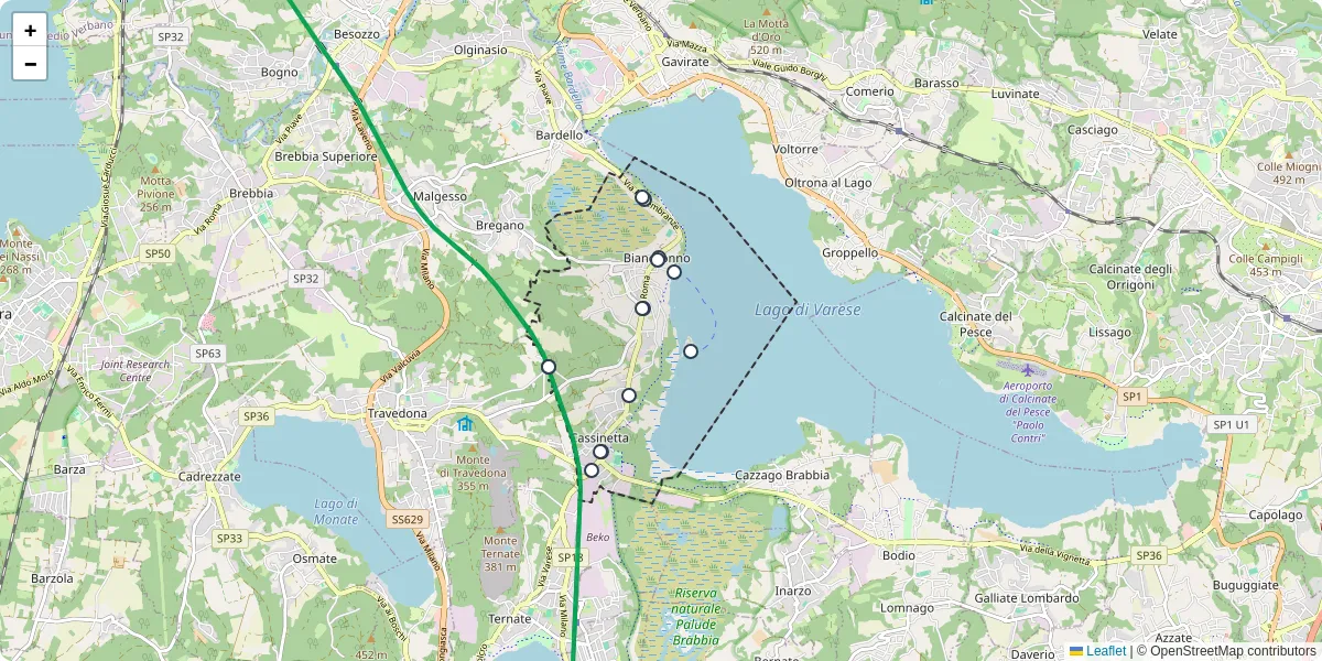 Mappa dettagliata del trasporto pubblico a Biandronno con linee autobus, tram e collegamenti