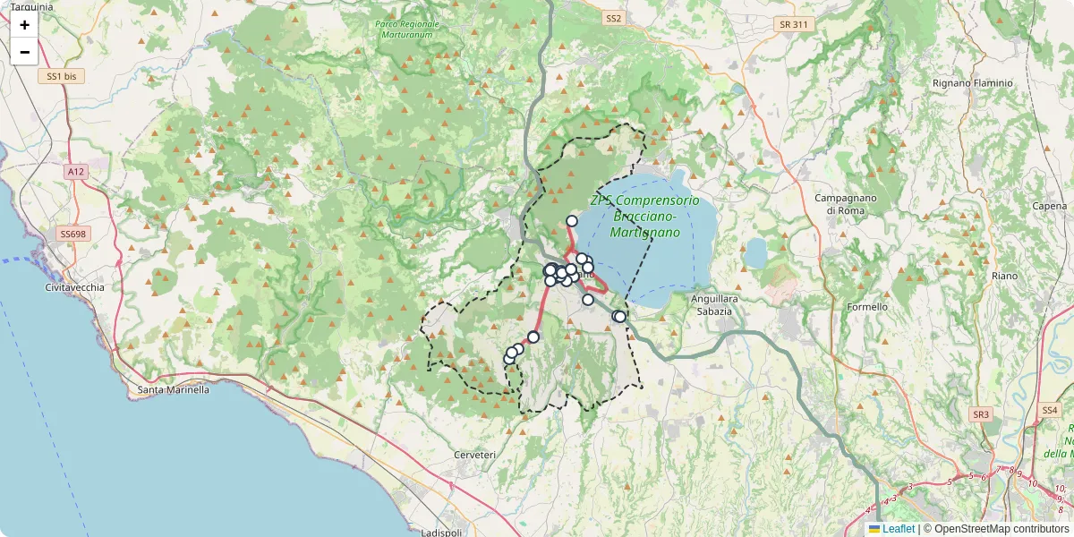 Mappa dettagliata del trasporto pubblico a Bracciano con linee autobus, tram e collegamenti