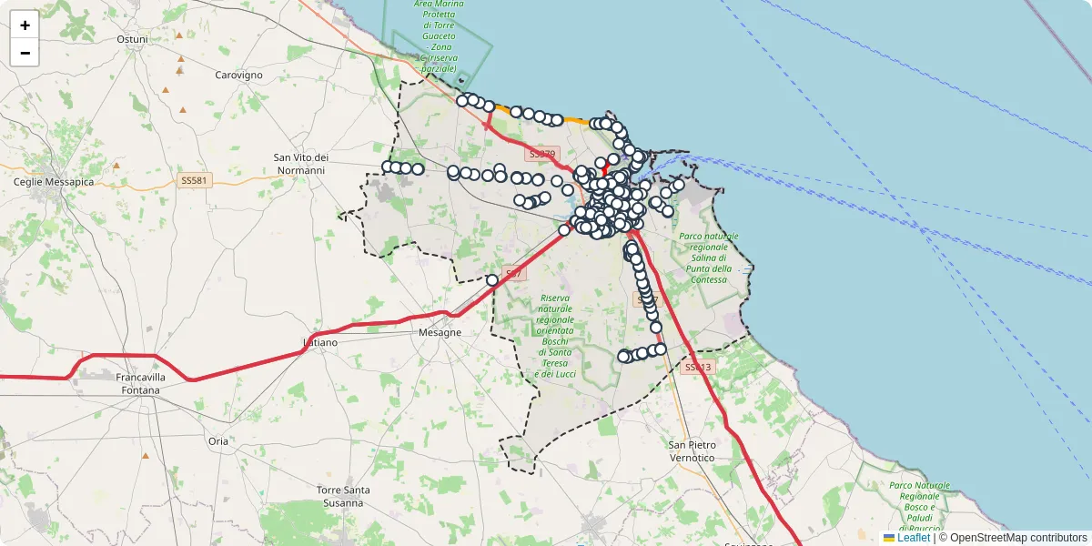 Mappa dettagliata del trasporto pubblico a Brindisi con linee autobus, tram e collegamenti