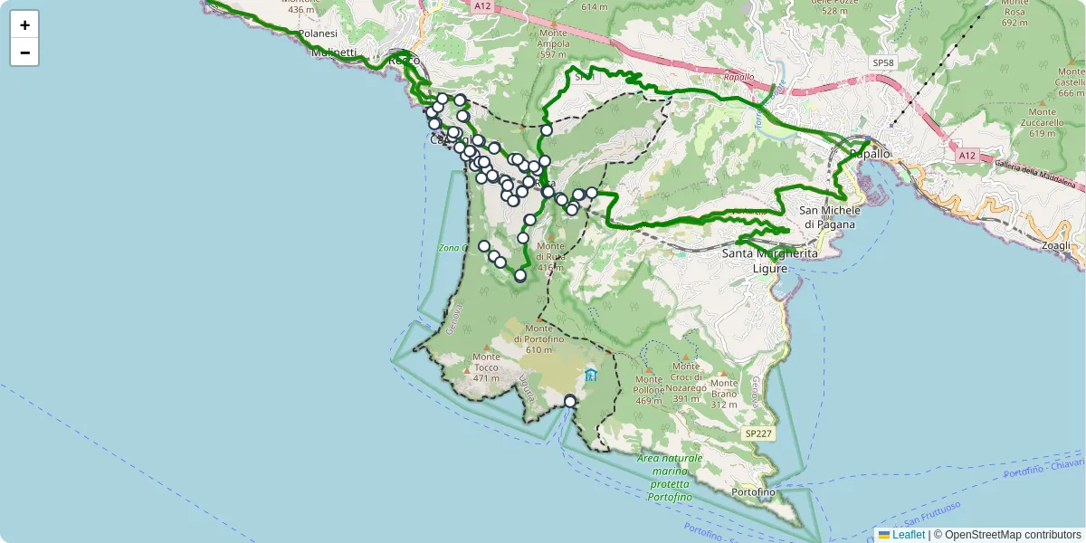 Mappa dettagliata del trasporto pubblico a Camogli con linee autobus, tram e collegamenti