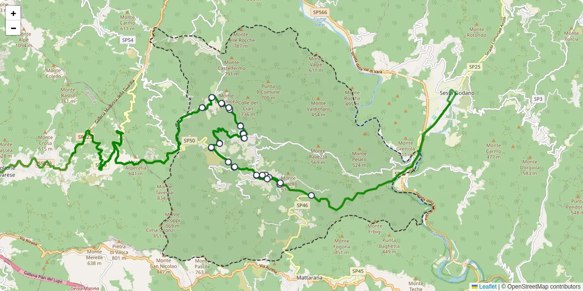 Mappa dettagliata del trasporto pubblico a Carro con linee autobus, tram e collegamenti