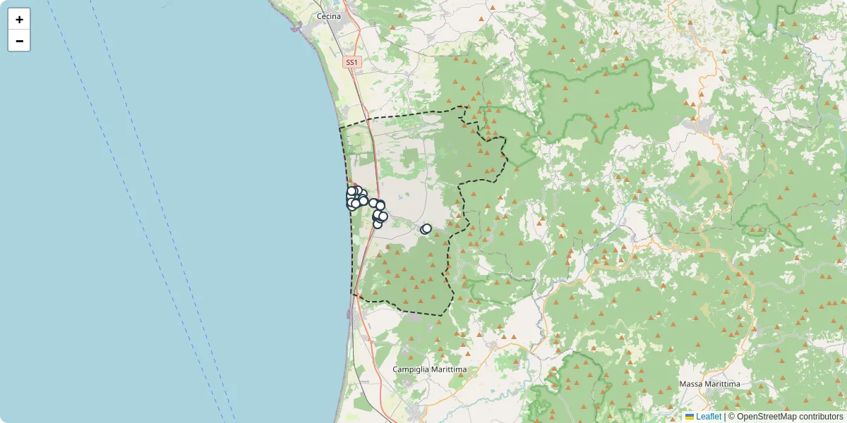 Mappa dettagliata del trasporto pubblico a Castagneto Carducci con linee autobus, tram e collegamenti