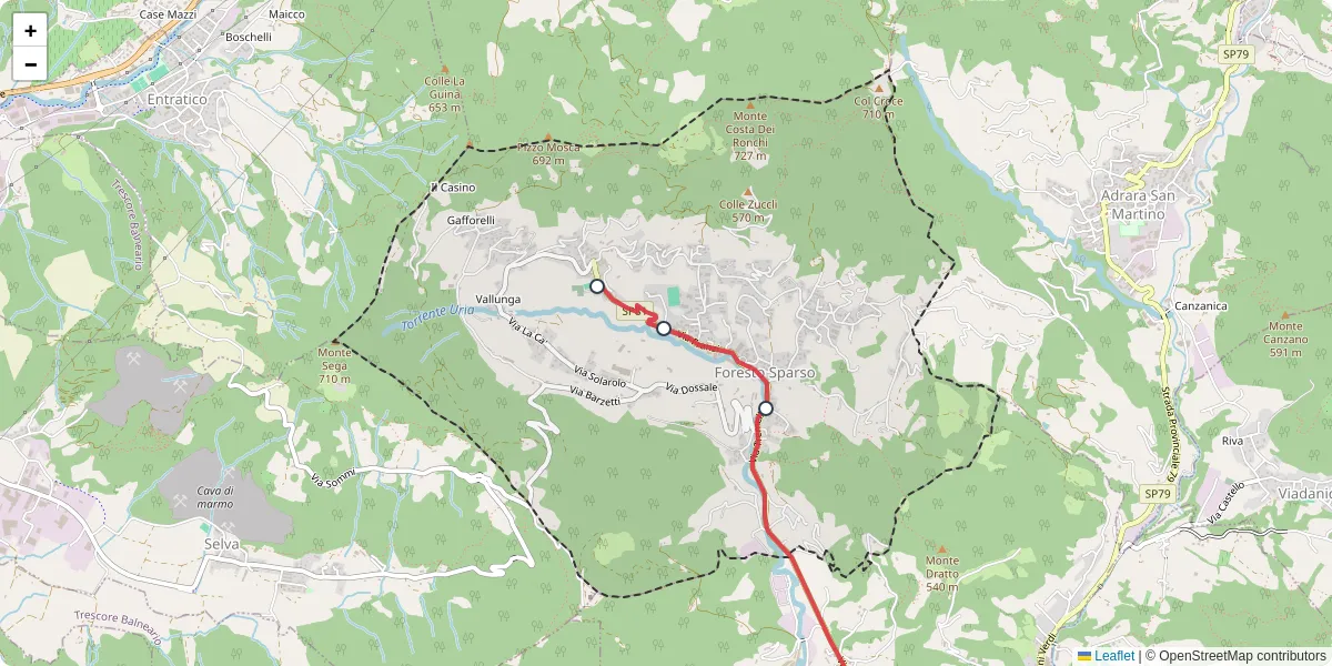 Mappa dettagliata del trasporto pubblico a Foresto Sparso con linee autobus, tram e collegamenti