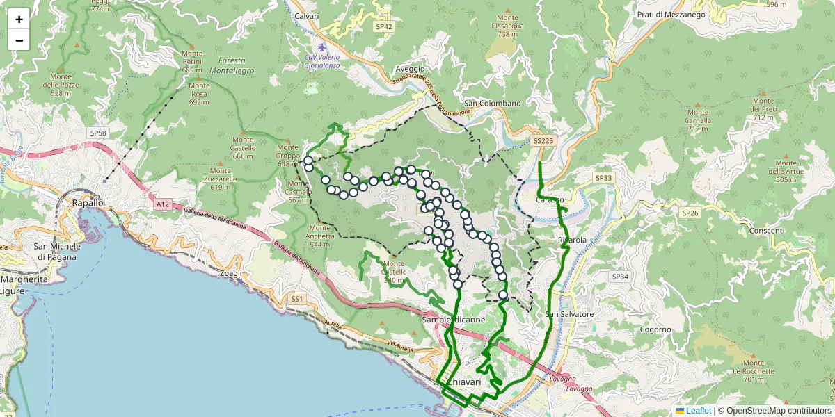 Mappa dettagliata del trasporto pubblico a Leivi con linee autobus, tram e collegamenti