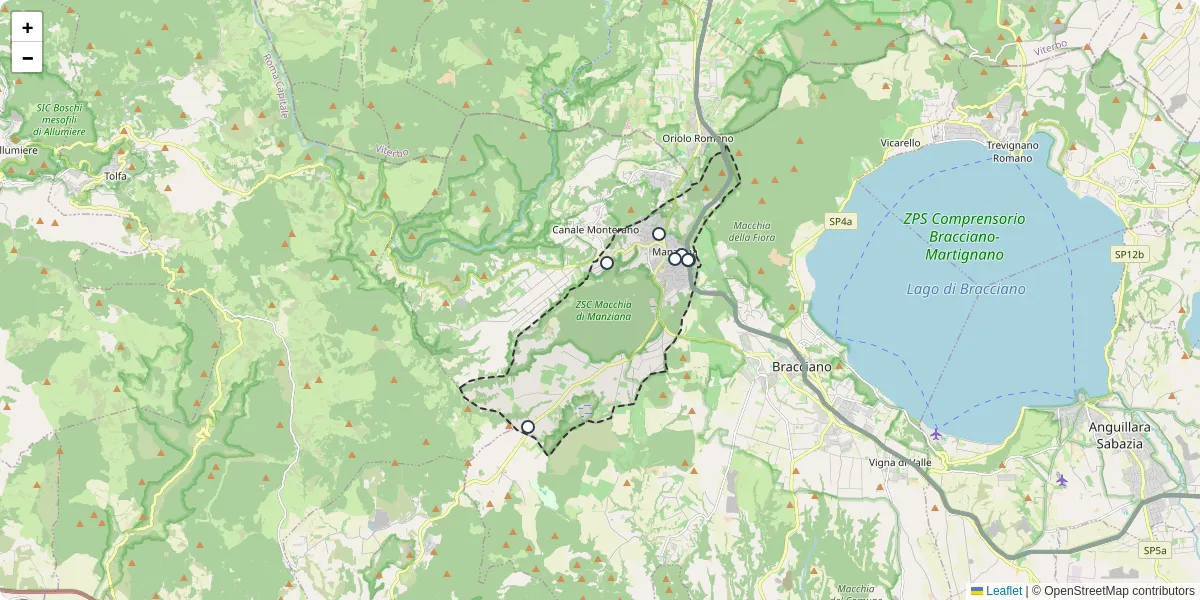 Mappa dettagliata del trasporto pubblico a Manziana con linee autobus, tram e collegamenti