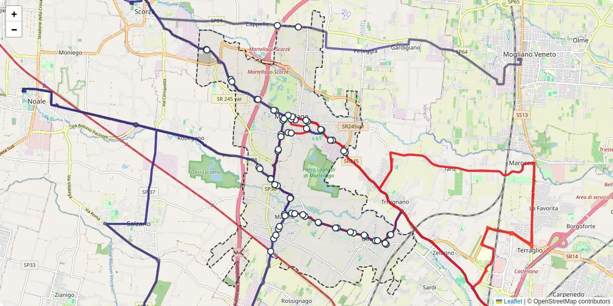Mappa dettagliata del trasporto pubblico a Martellago con linee autobus, tram e collegamenti