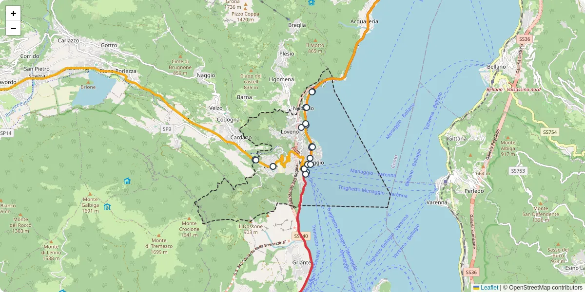 Mappa dettagliata del trasporto pubblico a Menaggio con linee autobus, tram e collegamenti