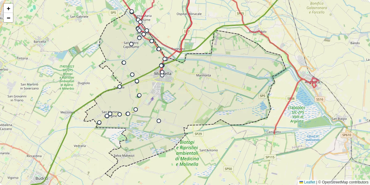 Mappa dettagliata del trasporto pubblico a Molinella con linee autobus, tram e collegamenti