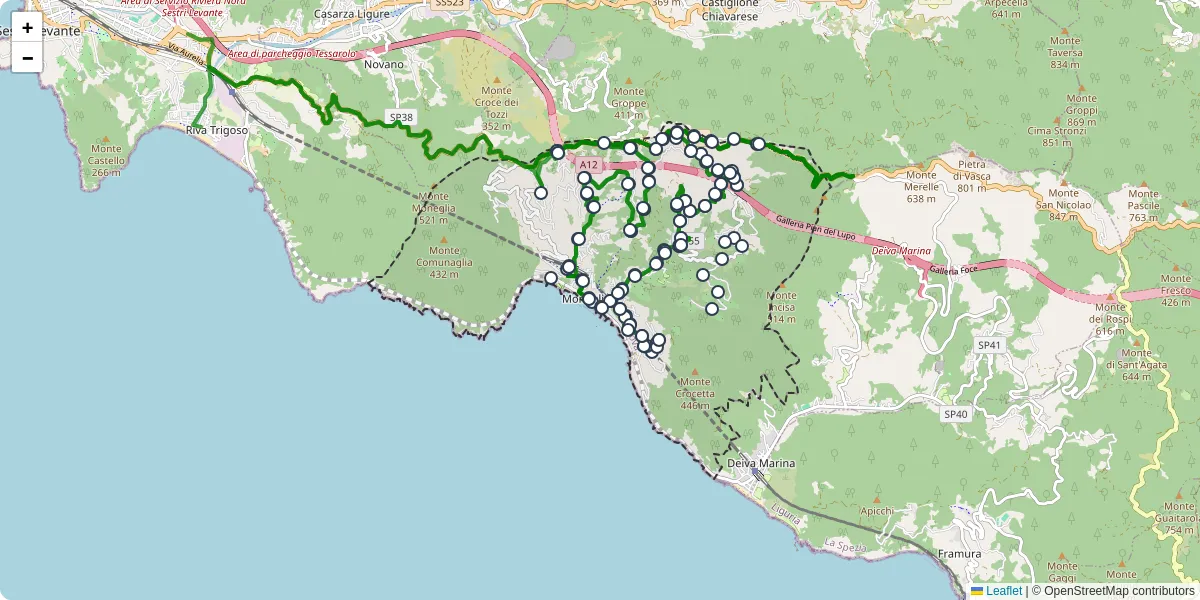 Mappa dettagliata del trasporto pubblico a Moneglia con linee autobus, tram e collegamenti