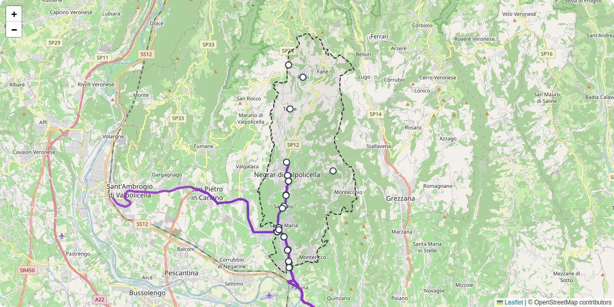 Mappa dettagliata del trasporto pubblico a Negrar di Valpolicella con linee autobus, tram e collegamenti