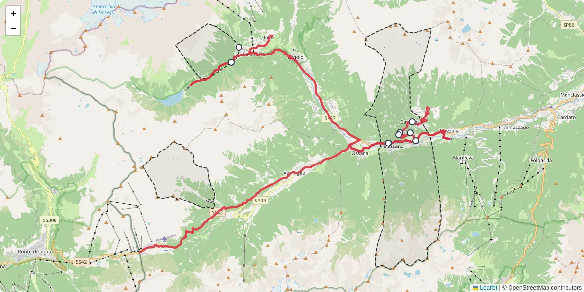 Mappa dettagliata del trasporto pubblico a Pellizzano con linee autobus, tram e collegamenti