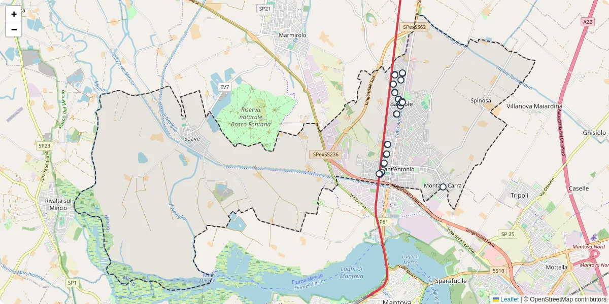 Mappa dettagliata del trasporto pubblico a Porto Mantovano con linee autobus, tram e collegamenti