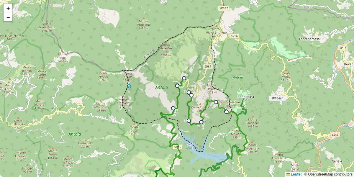 Mappa dettagliata del trasporto pubblico a Propata con linee autobus, tram e collegamenti