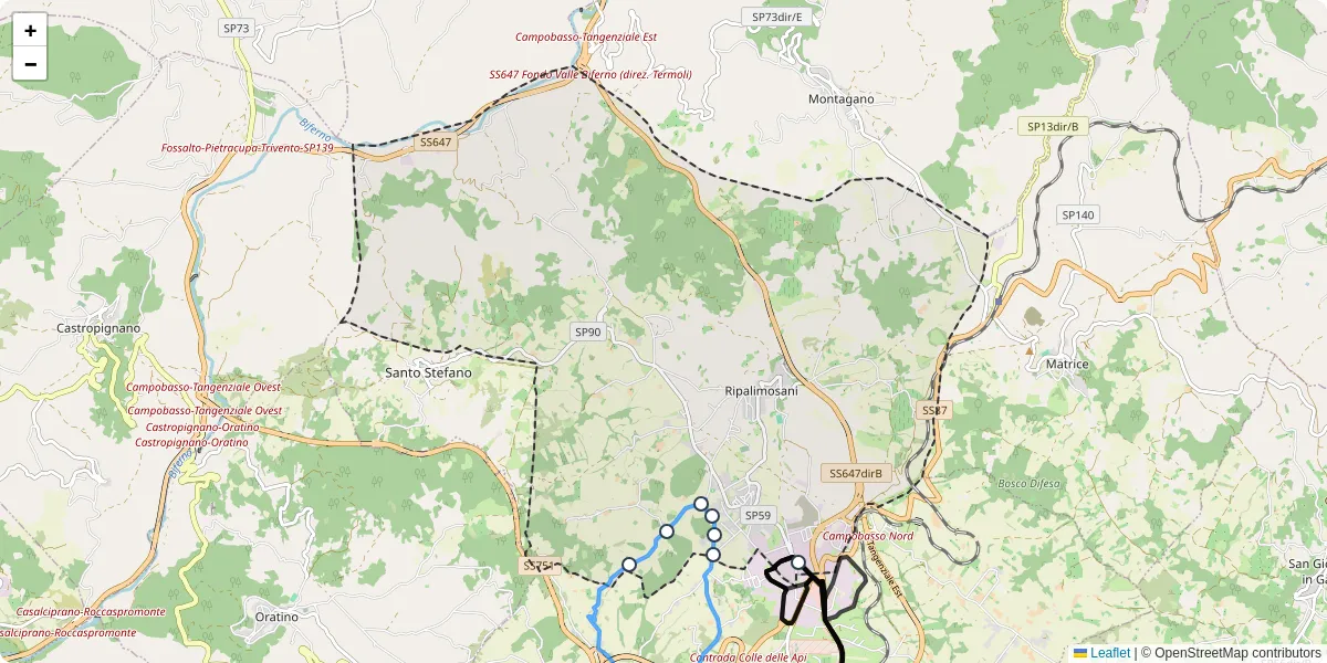 Mappa dettagliata del trasporto pubblico a Ripalimosani con linee autobus, tram e collegamenti