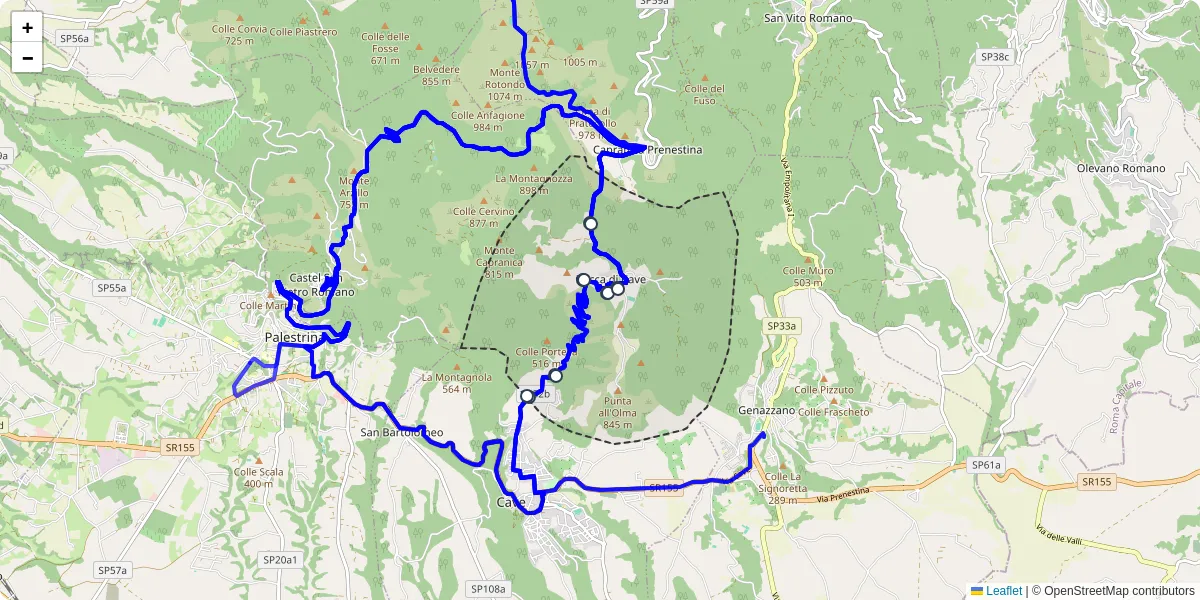 Mappa dettagliata del trasporto pubblico a Rocca di Cave con linee autobus, tram e collegamenti