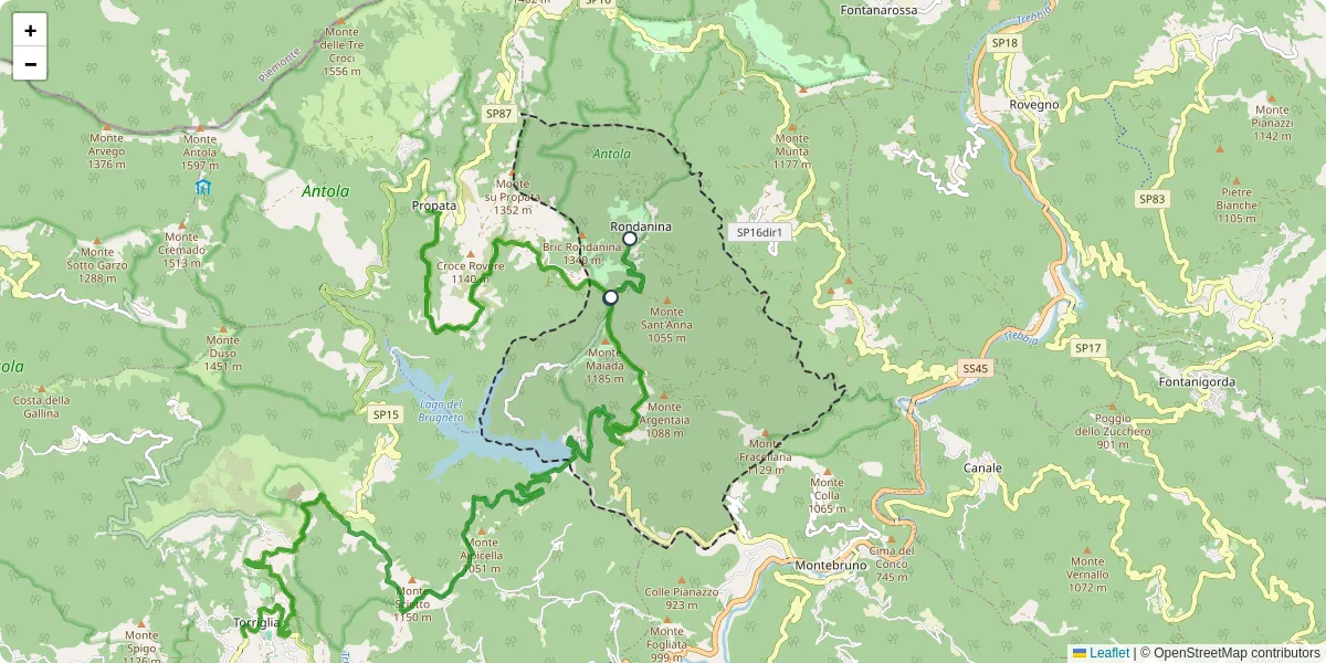 Mappa dettagliata del trasporto pubblico a Rondanina con linee autobus, tram e collegamenti