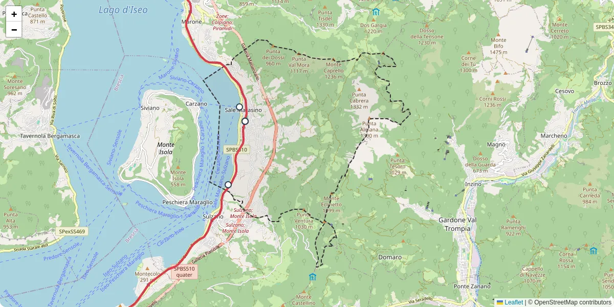 Mappa dettagliata del trasporto pubblico a Sale Marasino con linee autobus, tram e collegamenti