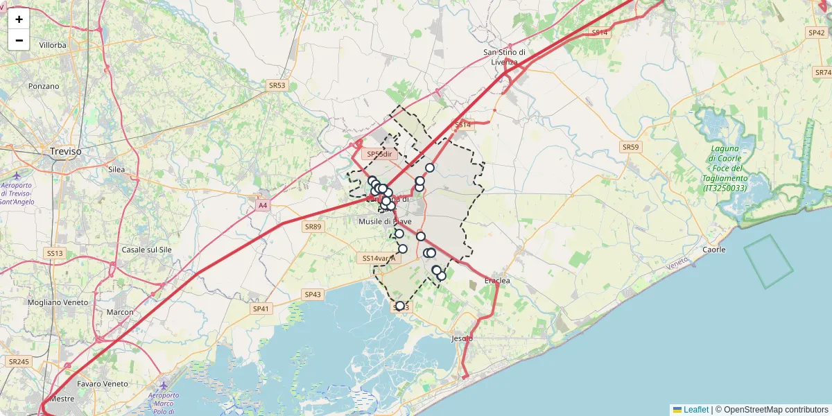 Mappa dettagliata del trasporto pubblico a San Donà di Piave con linee autobus, tram e collegamenti