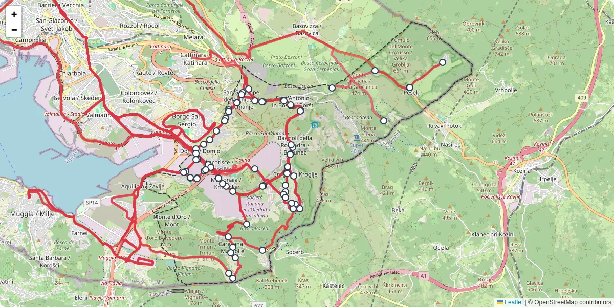 Mappa dettagliata del trasporto pubblico a San Dorligo della Valle / Dolina con linee autobus, tram e collegamenti