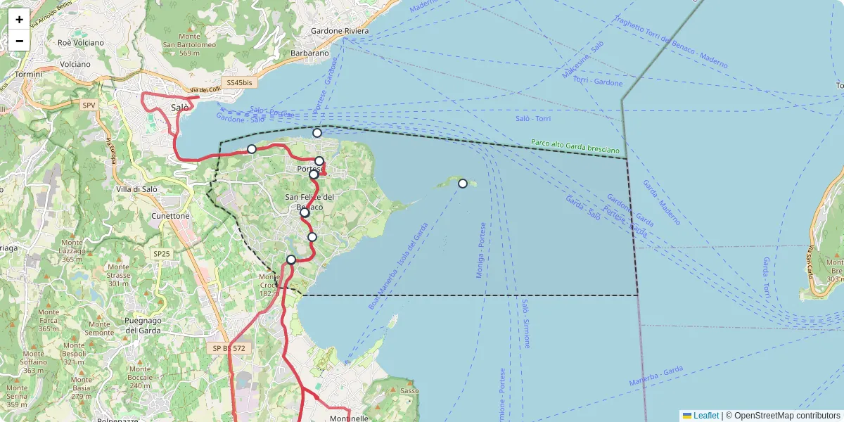 Mappa dettagliata del trasporto pubblico a San Felice del Benaco con linee autobus, tram e collegamenti