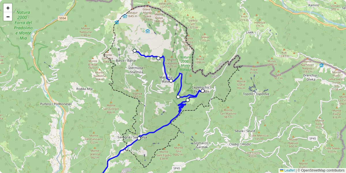 Mappa dettagliata del trasporto pubblico a Savogna con linee autobus, tram e collegamenti