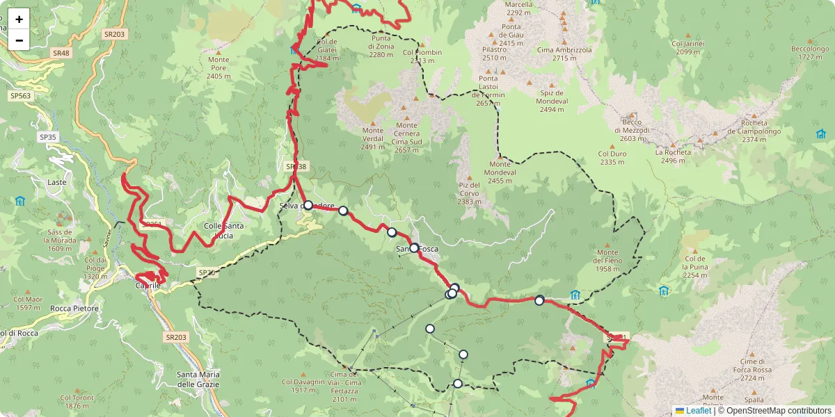 Mappa dettagliata del trasporto pubblico a Selva di Cadore con linee autobus, tram e collegamenti