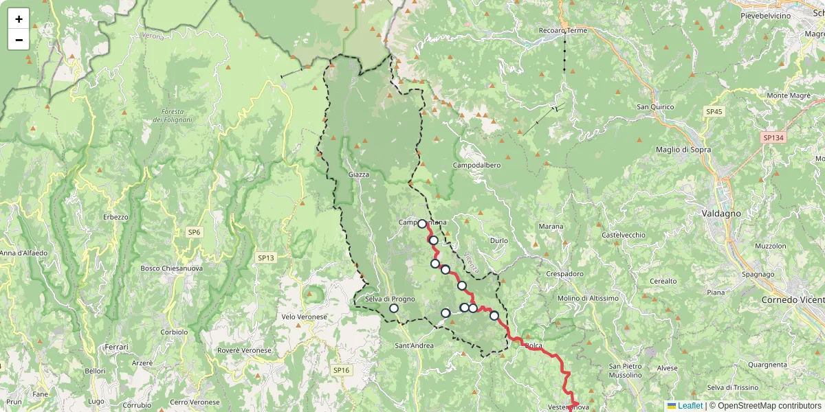 Mappa dettagliata del trasporto pubblico a Selva di Progno con linee autobus, tram e collegamenti
