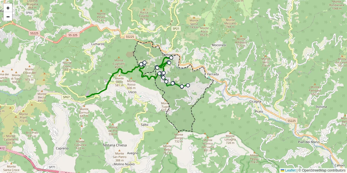 Mappa dettagliata del trasporto pubblico a Tribogna con linee autobus, tram e collegamenti