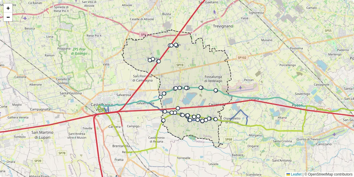 Mappa dettagliata del trasporto pubblico a Vedelago con linee autobus, tram e collegamenti