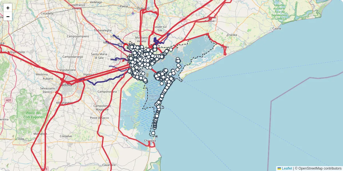 Mappa dettagliata del trasporto pubblico a Venezia con linee autobus, tram e collegamenti