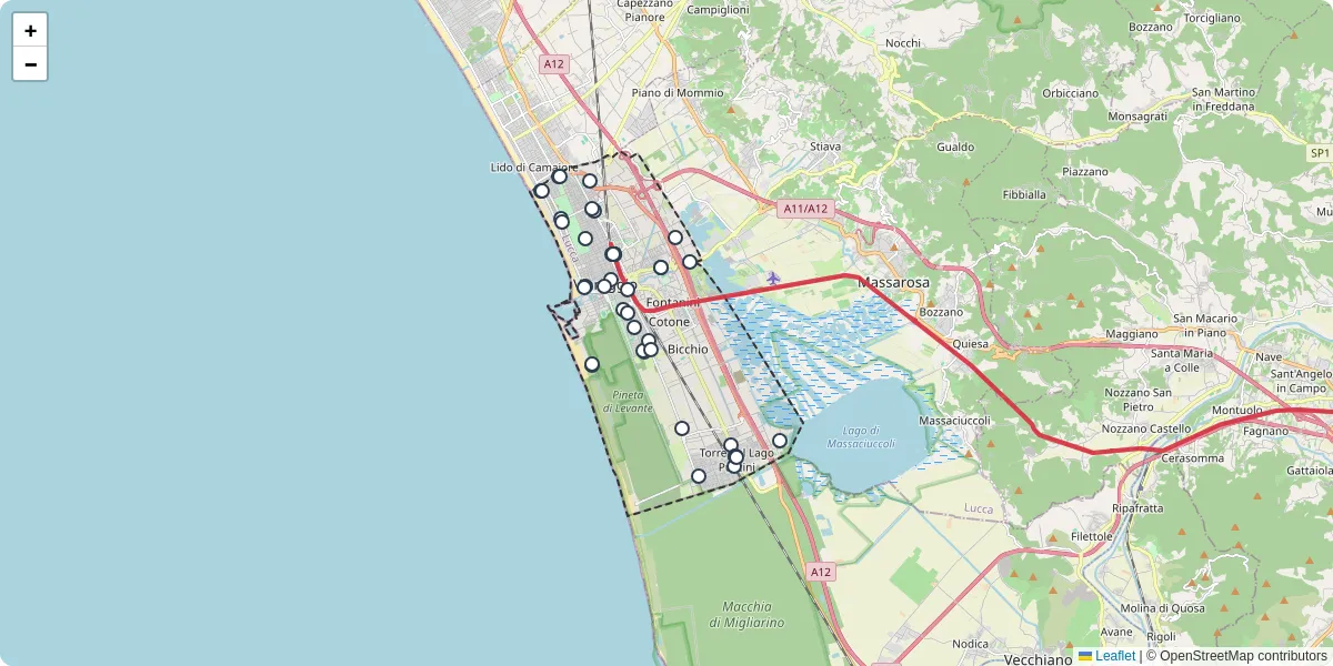 Mappa dettagliata del trasporto pubblico a Viareggio con linee autobus, tram e collegamenti